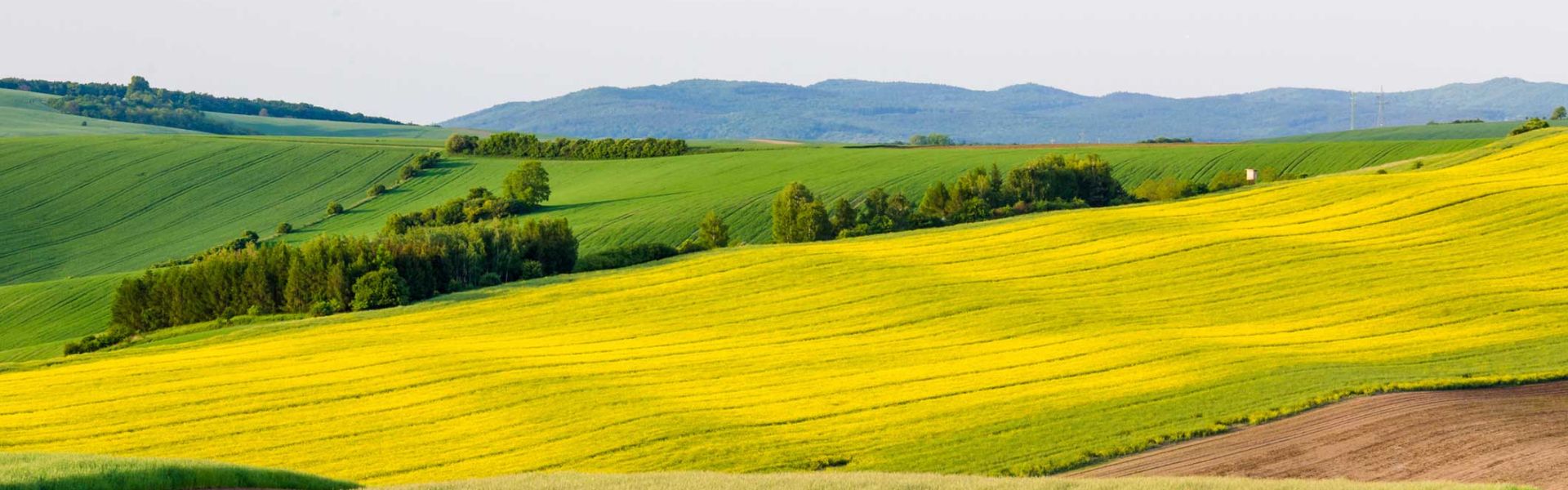 Paysage de campagne