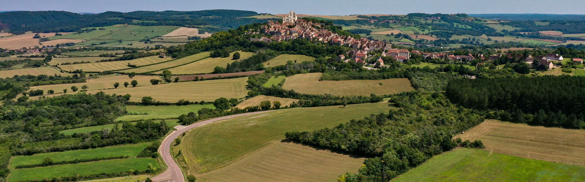 Les plantes des champs et des villes face à de nouveaux périls