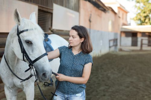 Collaboration « One Health » sur une bactérie multirésistante aux antibiotiques chez les chevaux