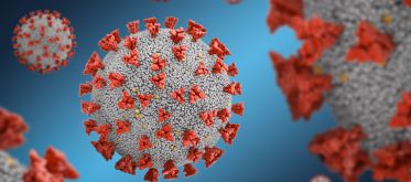 Visuel d'illustration de coronavirus